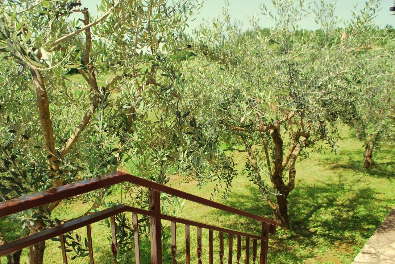 Villa Dorina Barban ภายนอก รูปภาพ
